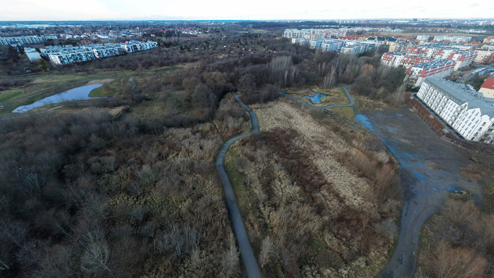 Park Krzycki i Dolina Olszówki, widok na północ