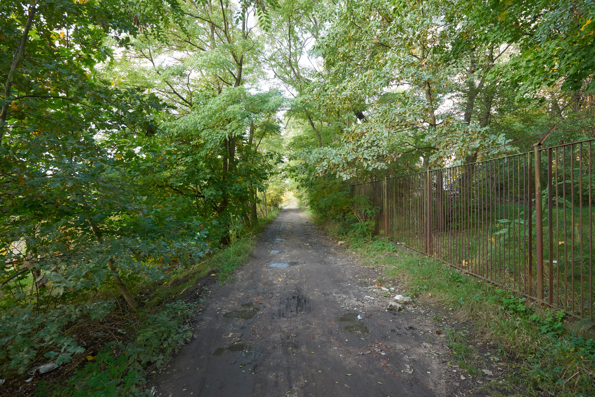 Końcowy odcinek ulicy Odkrywców